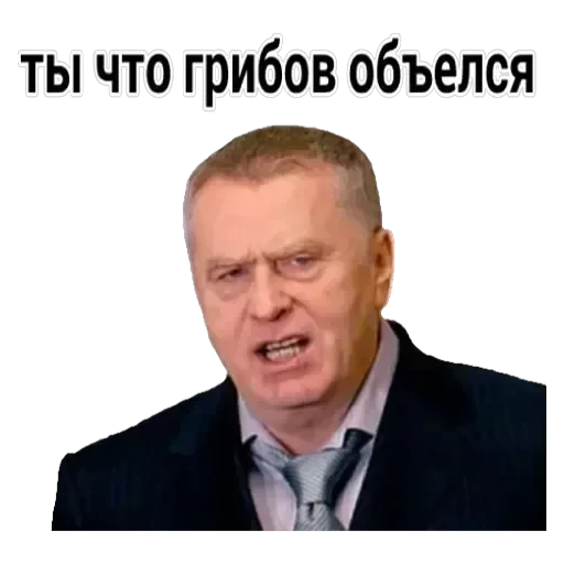 Vladimir — 13