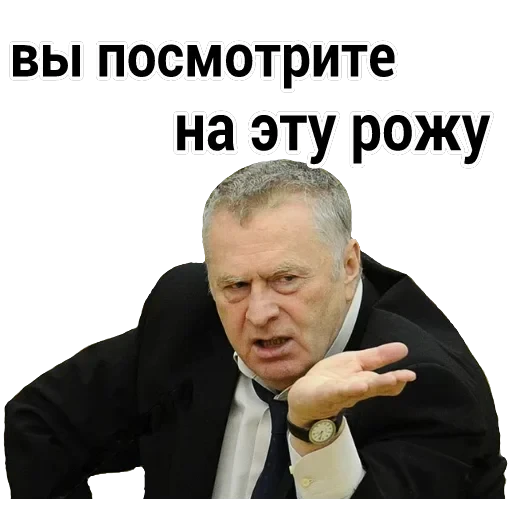 Владимир Вольфович Ж — 11