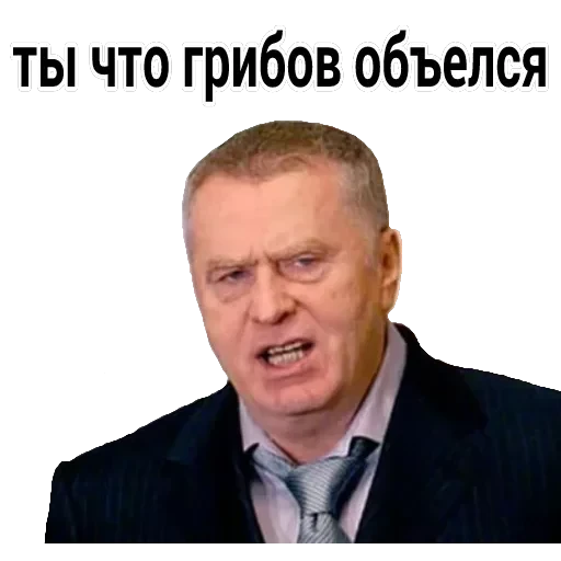 Владимир Вольфович Ж — 12