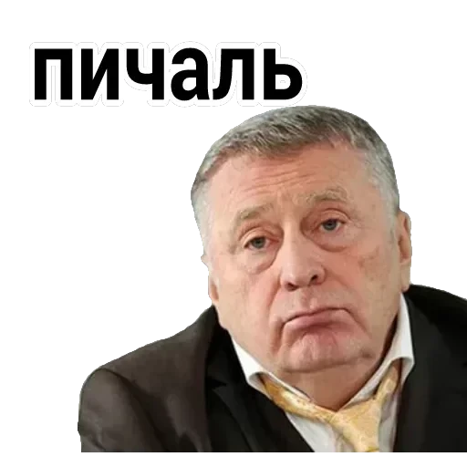Владимир Вольфович Ж — 13