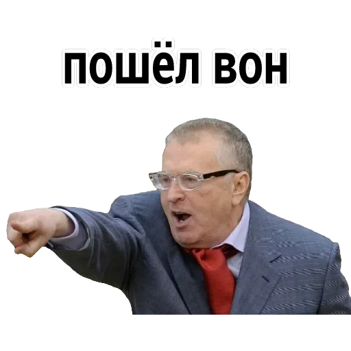 Владимир Вольфович Ж — 15