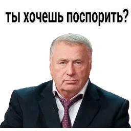 Владимир Вольфович Ж