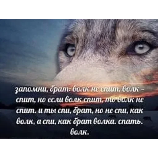 VOLK — 18
