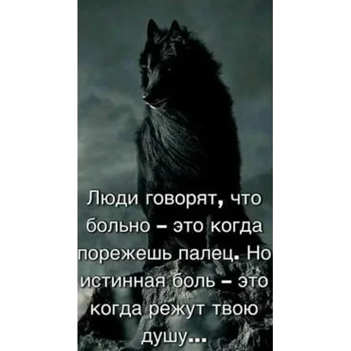 VOLK — 35