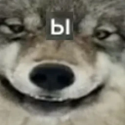 VOLK