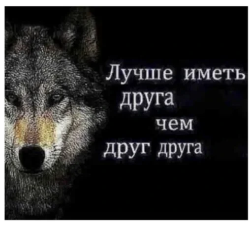 Волки — 2