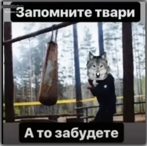 Волки — 12
