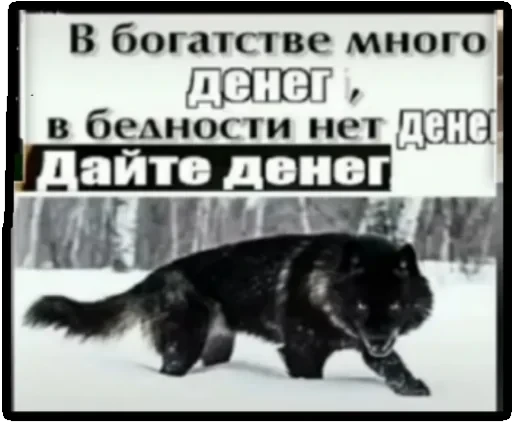 Волки — 3