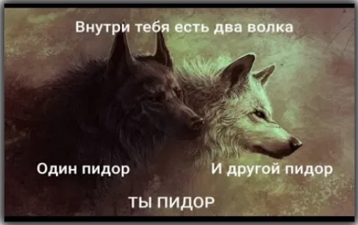 Волки — 6