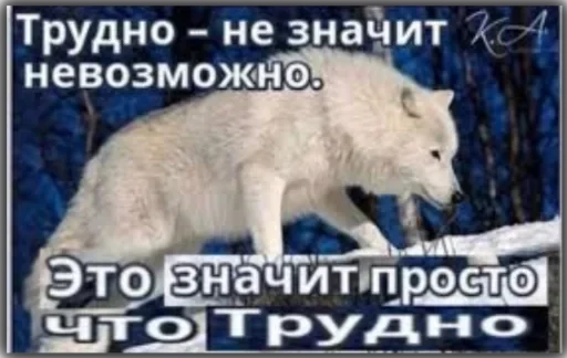 Волки — 10