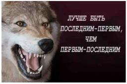Волки