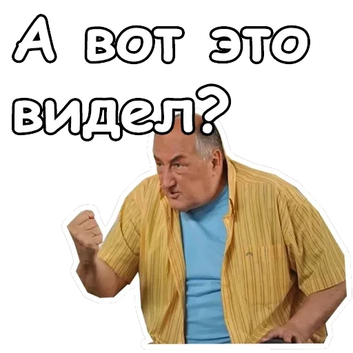 Воронины — 17