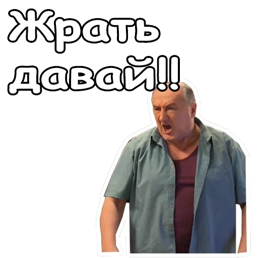 Воронины — 19