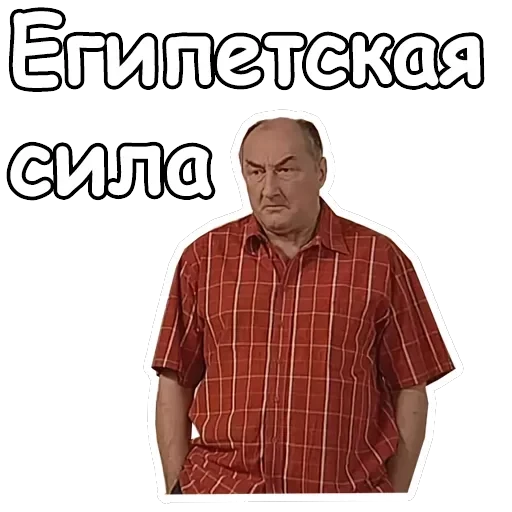 Воронины — 20
