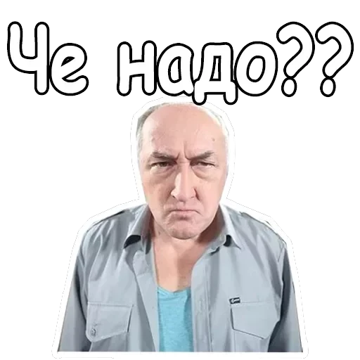 Воронины — 23