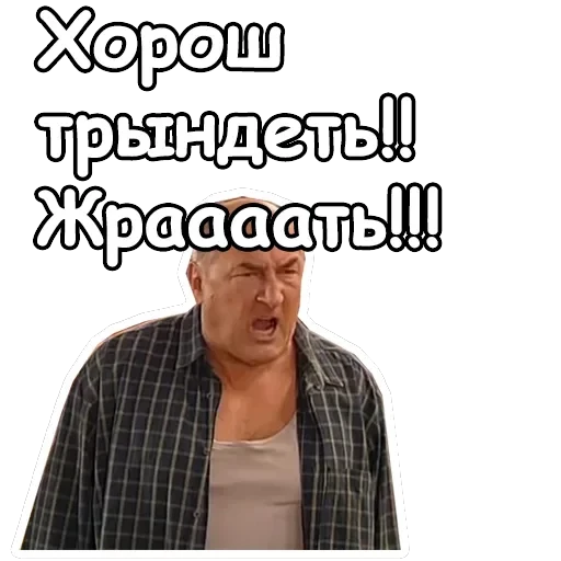 Воронины — 28
