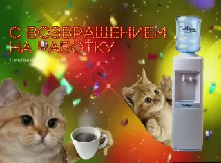 * Всратые Открытки — 13