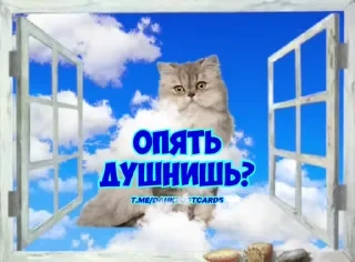 * Всратые Открытки — 19