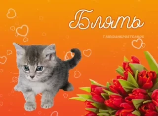 * Всратые Открытки — 20