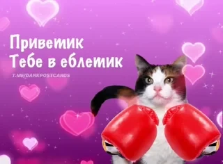 * Всратые Открытки — 21