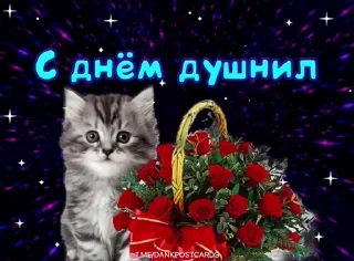 * Всратые Открытки — 29