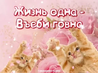 * Всратые Открытки — 30