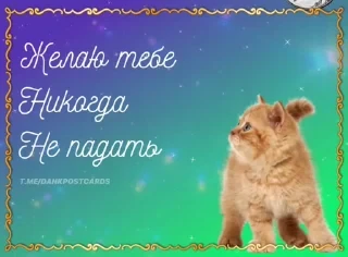 * Всратые Открытки — 4