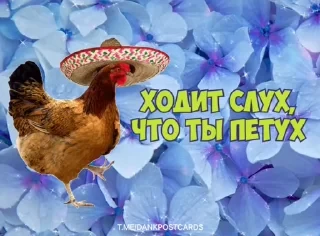 * Всратые Открытки — 31