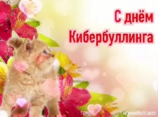 * Всратые Открытки — 33