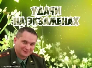 * Всратые Открытки — 34
