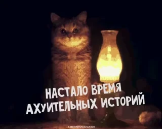 * Всратые Открытки — 38