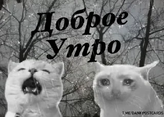 * Всратые Открытки — 42