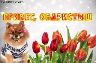 * Всратые Открытки — 43