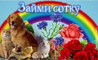 * Всратые Открытки — 45