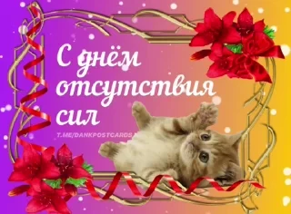 * Всратые Открытки — 6
