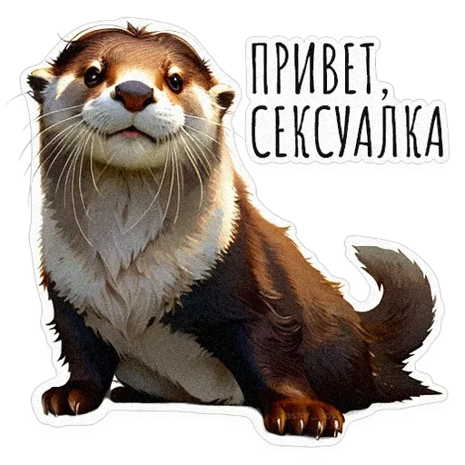 ВЫДРОЧАТик — 1