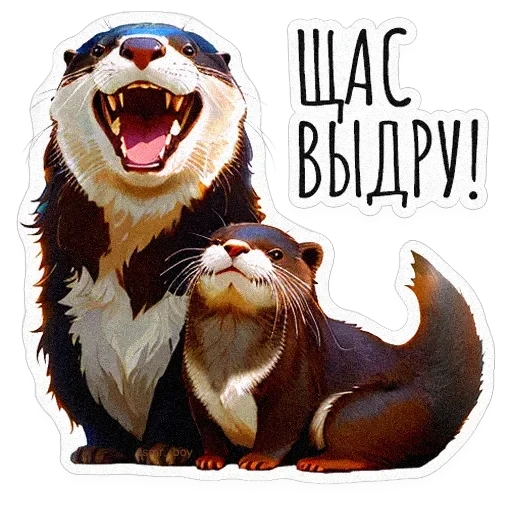 ВЫДРОЧАТик — 11