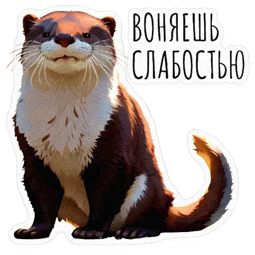 ВЫДРОЧАТик — 12