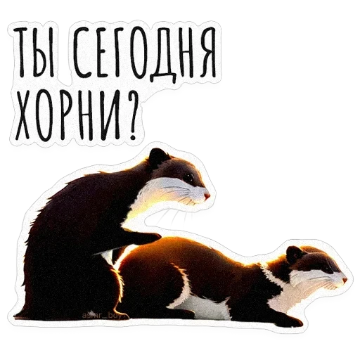 ВЫДРОЧАТик — 14