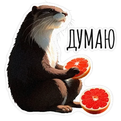 ВЫДРОЧАТик — 15