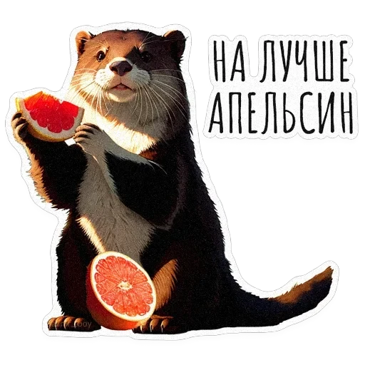 ВЫДРОЧАТик — 17