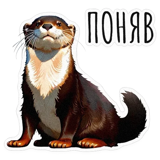 ВЫДРОЧАТик — 19