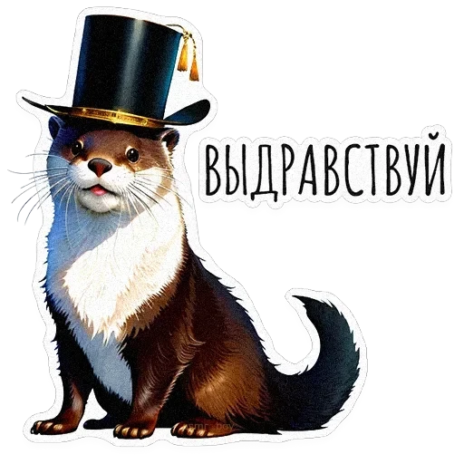 ВЫДРОЧАТик — 23