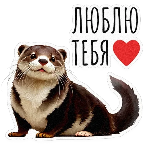 ВЫДРОЧАТик — 24
