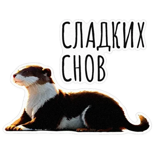 ВЫДРОЧАТик — 25