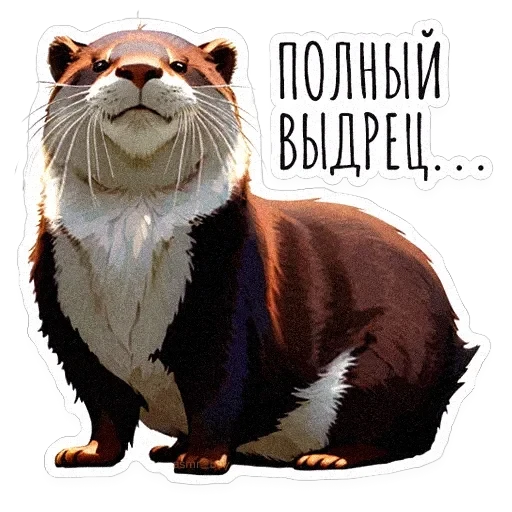 ВЫДРОЧАТик — 8