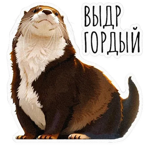 ВЫДРОЧАТик — 9