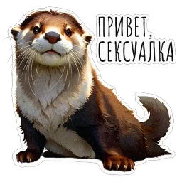 ВЫДРОЧАТик