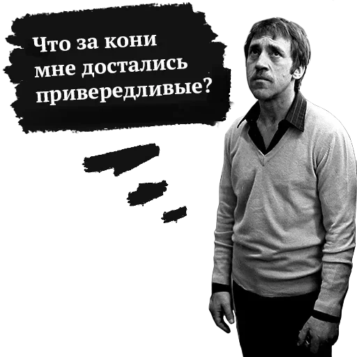 Высоцкий — 15