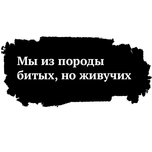 Высоцкий — 33